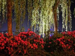 -艾溪湖湿地公园