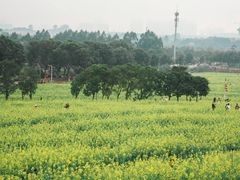 -光明小镇欢乐田园