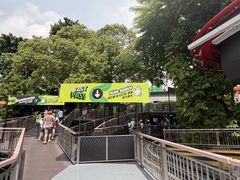 -圣淘沙天际线斜坡滑车