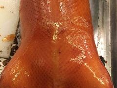 -同喜烤鸭店(光芒店)