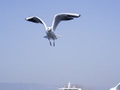 -海埂大坝