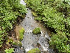 -五营国家森林公园