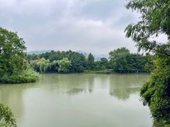 -西溪国家湿地公园