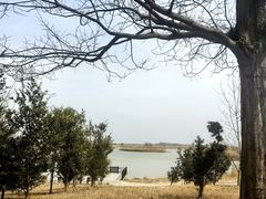 -盐城丹顶鹤湿地生态旅游区