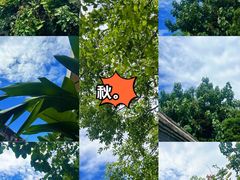 -南锣鼓巷