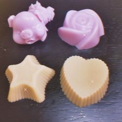 -明宇集团·积木枝芽母婴健康管理中心(天府店)