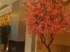 -上海大宁福朋喜来登酒店大堂吧(共和新路店)