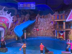 -烟台海昌鲸鲨海洋公园