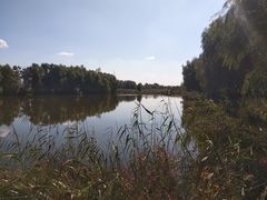 -白渔泡湿地公园