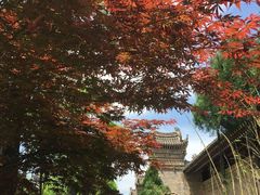 -西安关中民俗艺术博物院