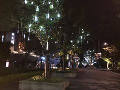 -映月湖中央公园