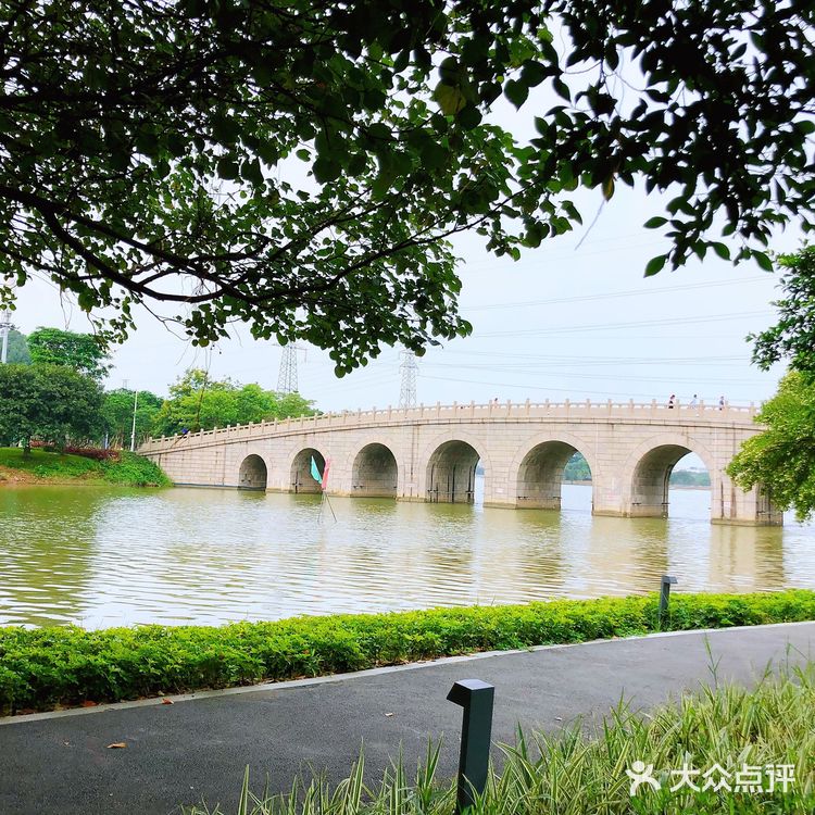 【顺德日记：顺峰山公园旅游攻略】