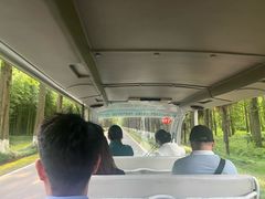 -黄海国家森林公园