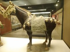 -西安大唐西市博物馆