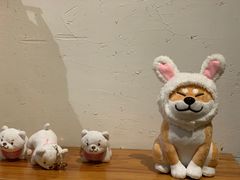 -柴务处·柴犬主题狗咖