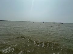 -贡湖湾湿地公园