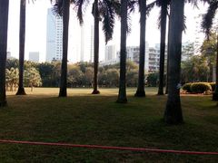 -东风公园