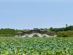 -上海海湾国家森林公园