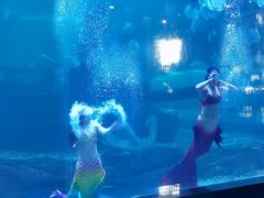 -石林冰雪海洋世界