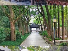 -上海醉白池公园
