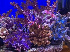 -海合安武汉极地海洋公园
