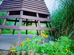 -田园东方蜜桃村的田野营地