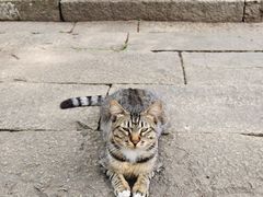 -无锡惠山寺