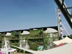 -百万葵园