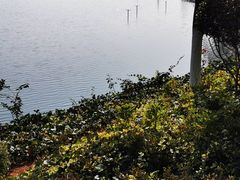 -安宁市宁湖森林公园