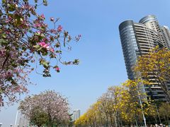 -洲头咀公园