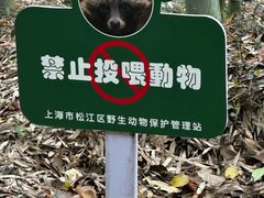 -上海佘山国家森林公园天马山园