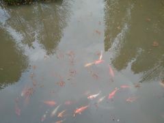 -云溪植物园