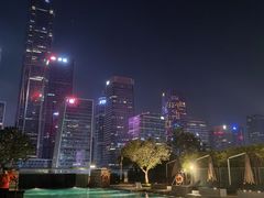 -深圳星河丽思卡尔顿酒店