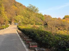 -南京市江宁方山