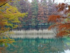 -贡湖湾湿地公园