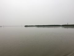 -哈素海