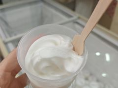 -洪馨椰子