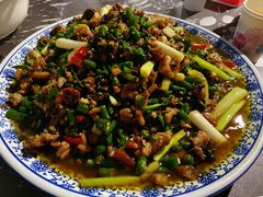 -铁山坪森林公园