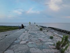 -南汇嘴观海公园