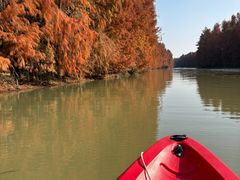 -上海海湾国家森林公园