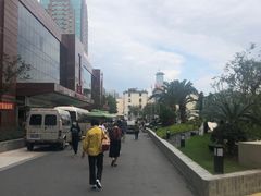 -上海市东方医院(总院)