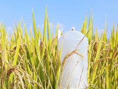 -芦恒路站-停车场