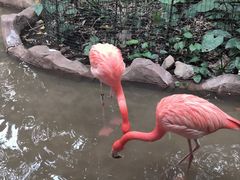 -长鹿旅游休博园