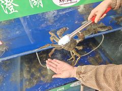-阳澄湖大闸蟹·琼灵阁牌品牌连锁(吴中总店)