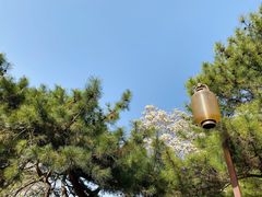 -颐和园
