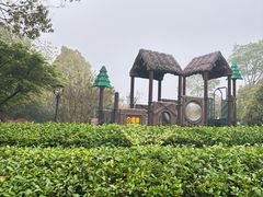 -刘伯温故里景区百丈漈