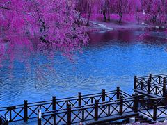 -长春公园(普阳街道)