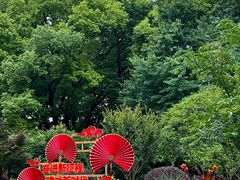 -徐家汇源景区-衡山公园