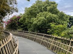 -福道