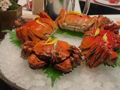 -新荣记(南京西路店)